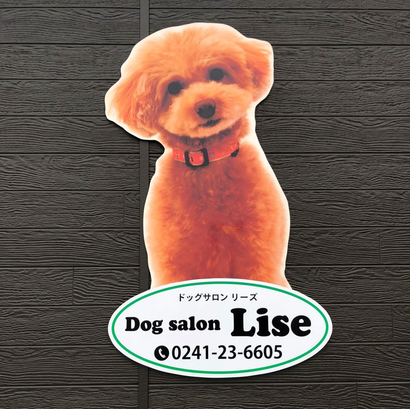 福島県喜多方市のトリミングサロン Dog salon Lise （リーズ）の1枚目