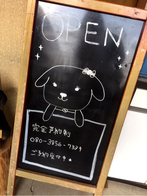 大阪府八尾市のトリミングサロン Dog salon PAOのサムネイル2枚目