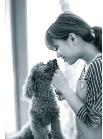 Dog Salon Little Dog 2