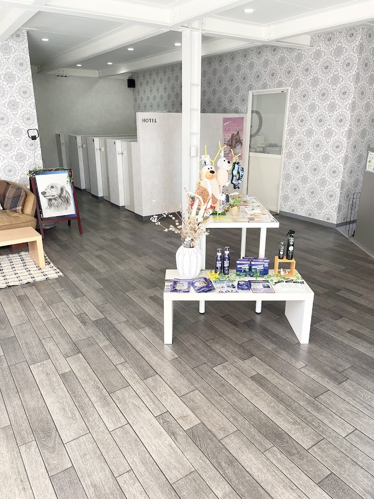 サロン画像 2