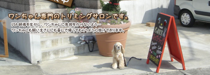 犬の美容室　スーパードッグ
