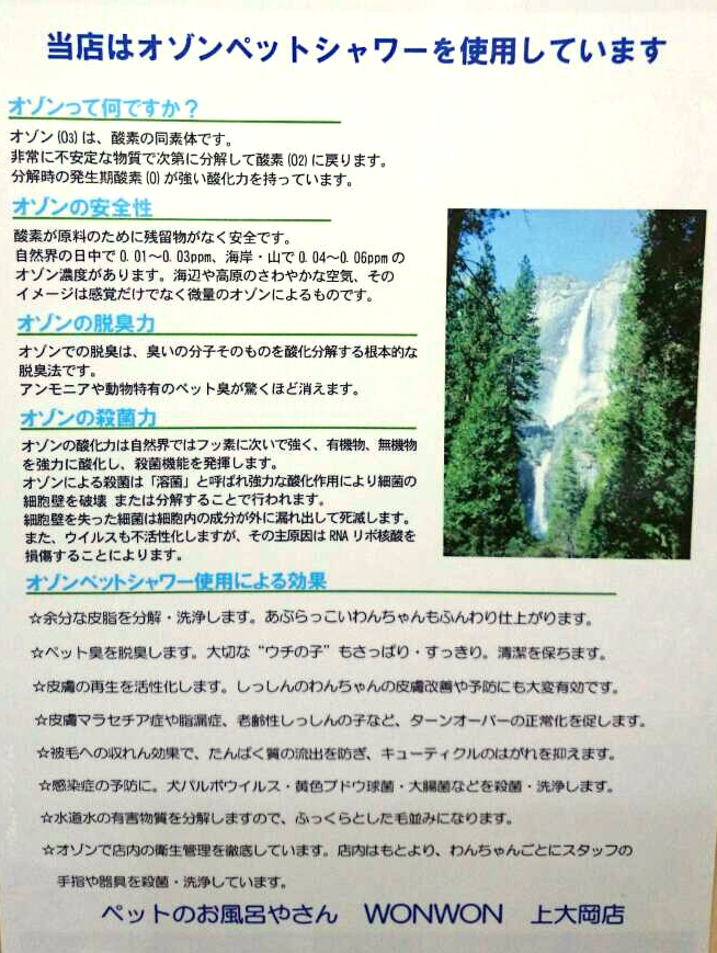 神奈川県横浜市港南区のトリミングサロン ペットのお風呂屋さん　WONWON上大岡店のサムネイル2枚目