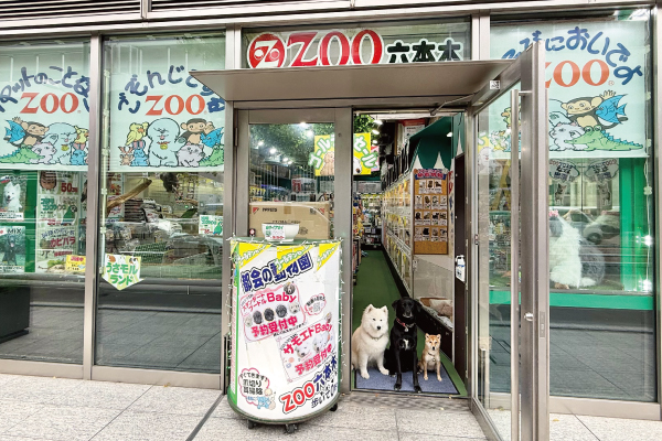 サロン画像 1