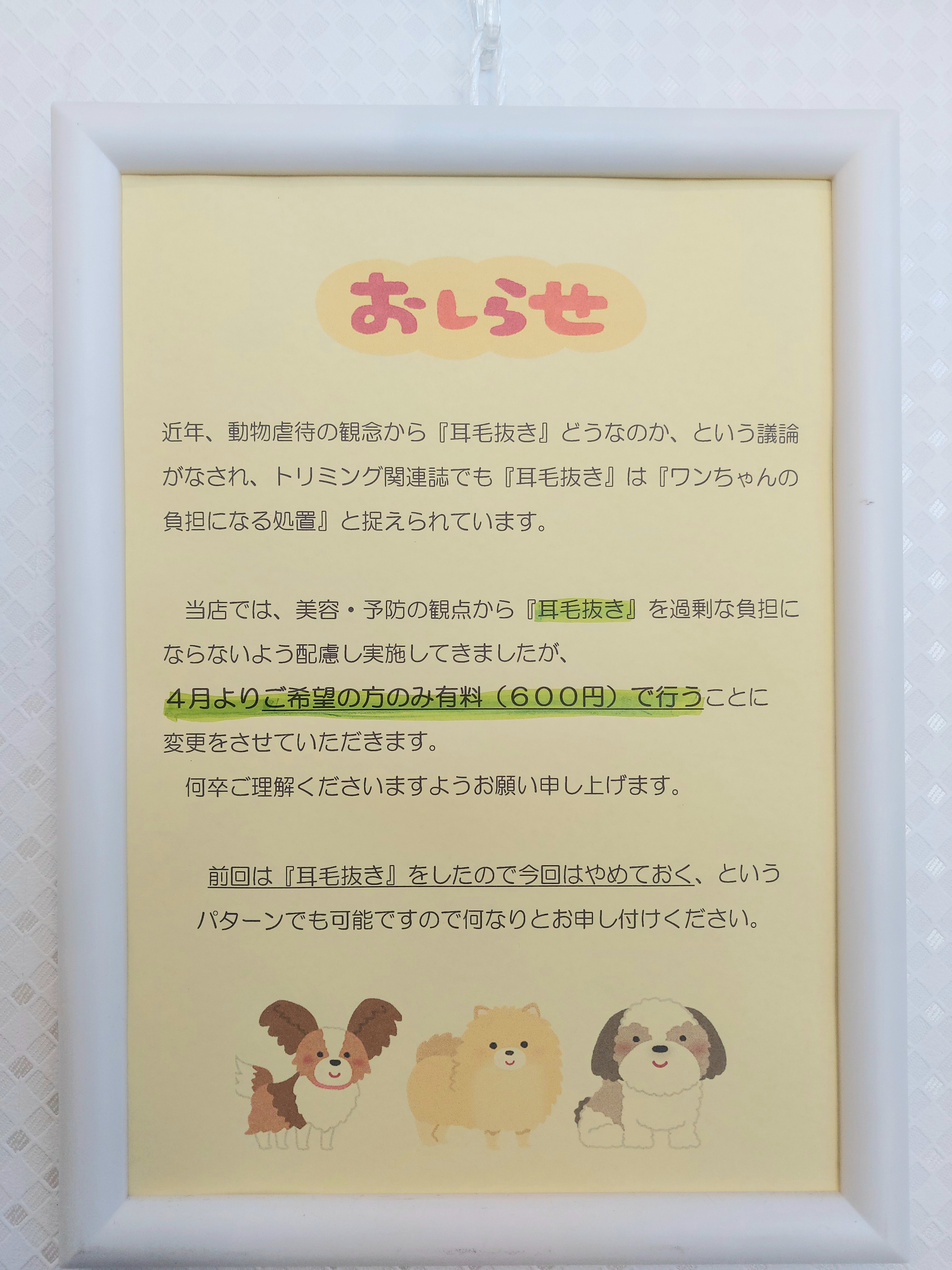 トリミングサロン 愛犬の美容室ジェイワンからのお知らせ 2025-02-17
