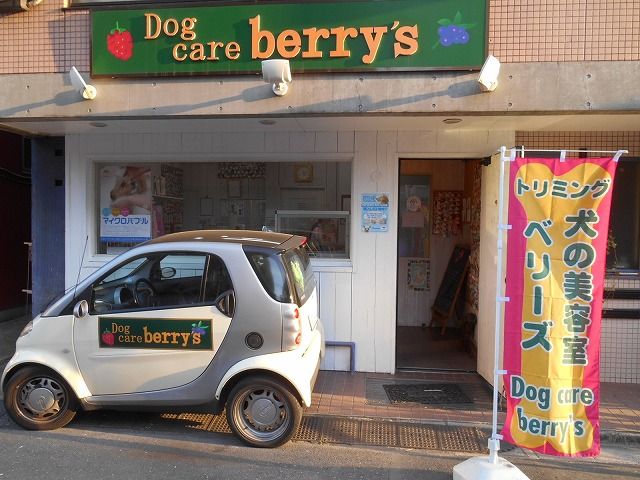 東京都墨田区のトリミングサロン Dog care berry's ベリーズのサムネイル2枚目