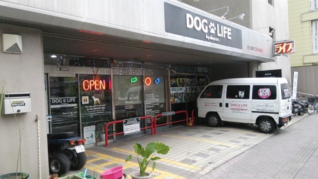 DOGLIFE by DOG COM（ドッグコム） 3