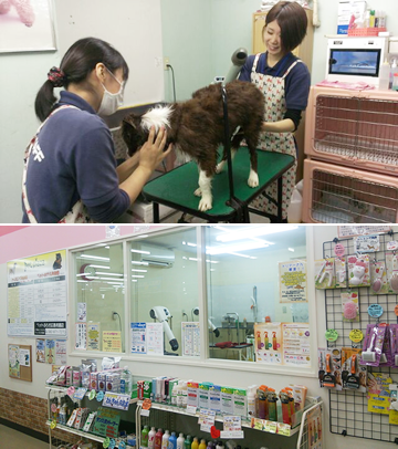 ペットサロン松山　北条店 2