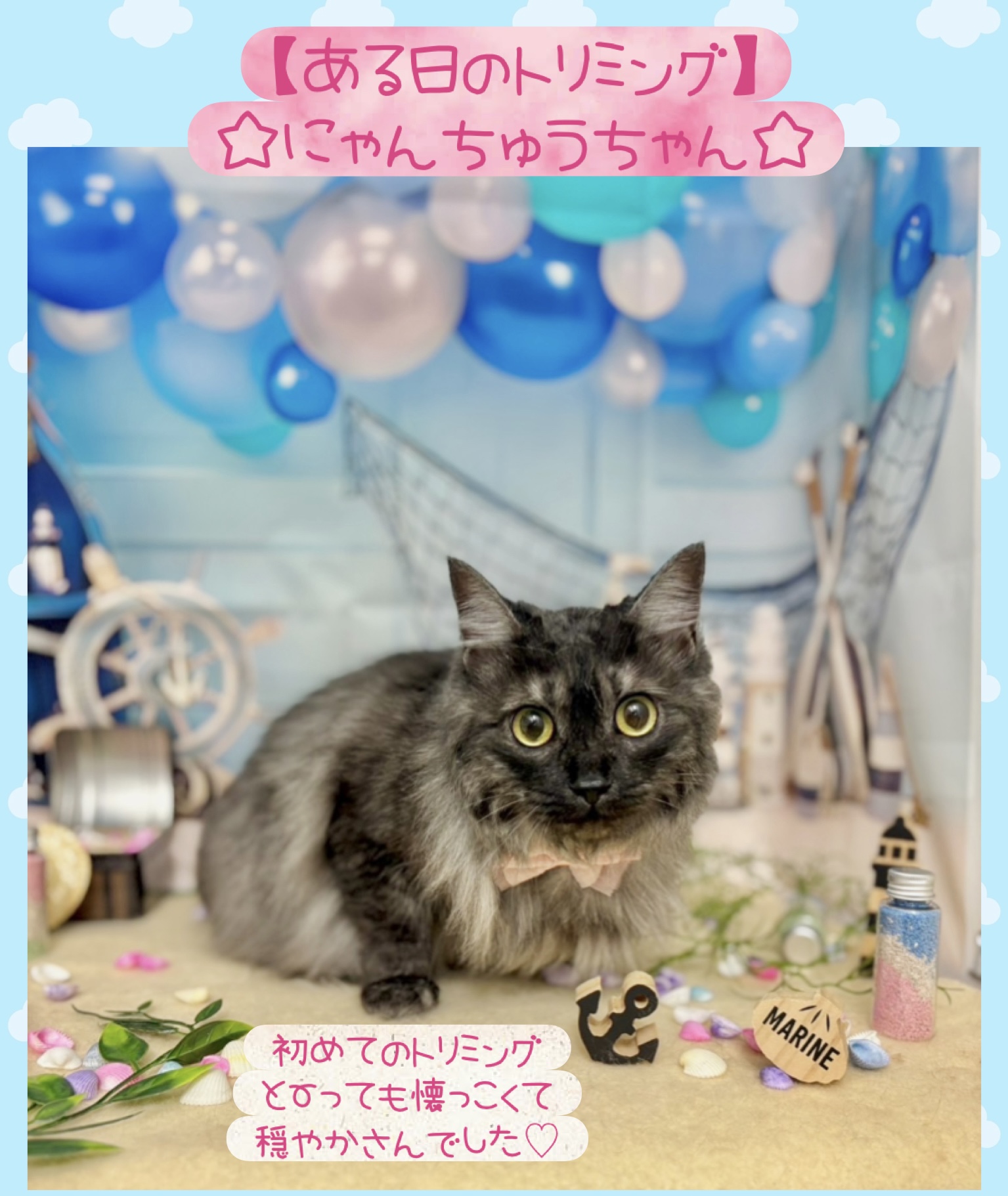 トリミングカット SMILE☆POOの3枚目