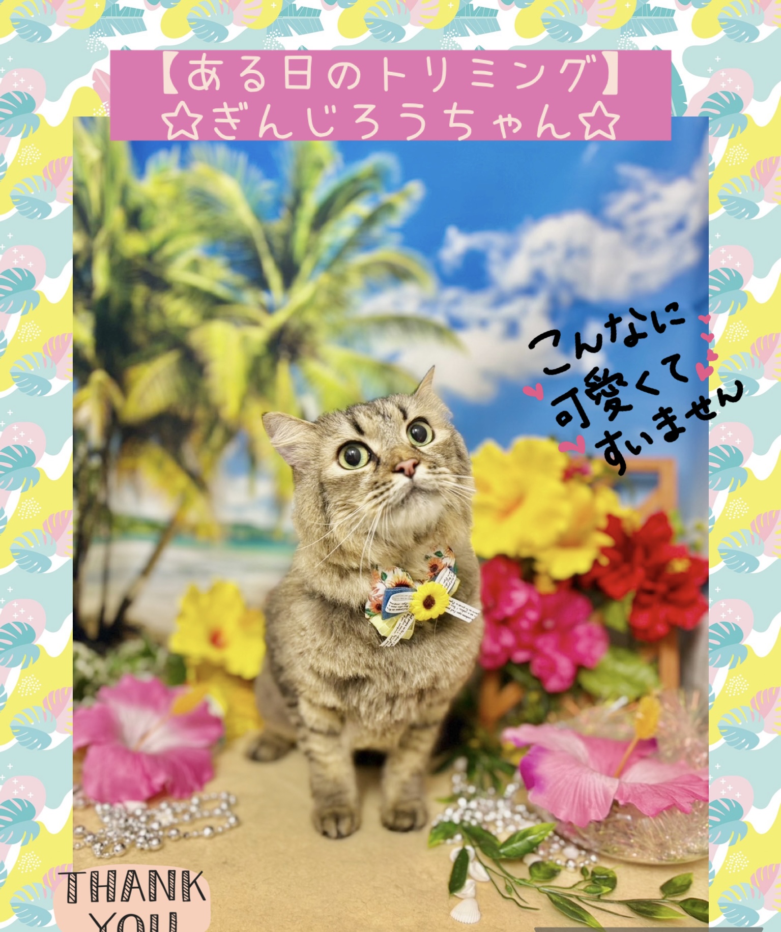 トリミングカット SMILE☆POOの2枚目