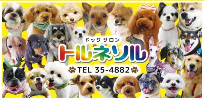 ドッグサロン トルソネル 5