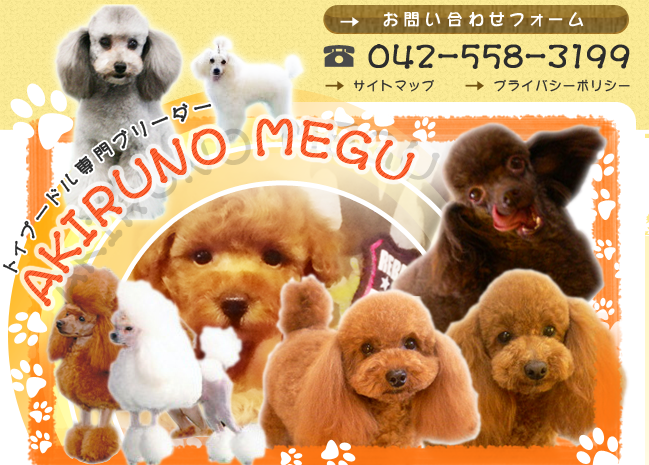 東京都あきる野市のトリミングサロン 愛犬美容室　メグの1枚目