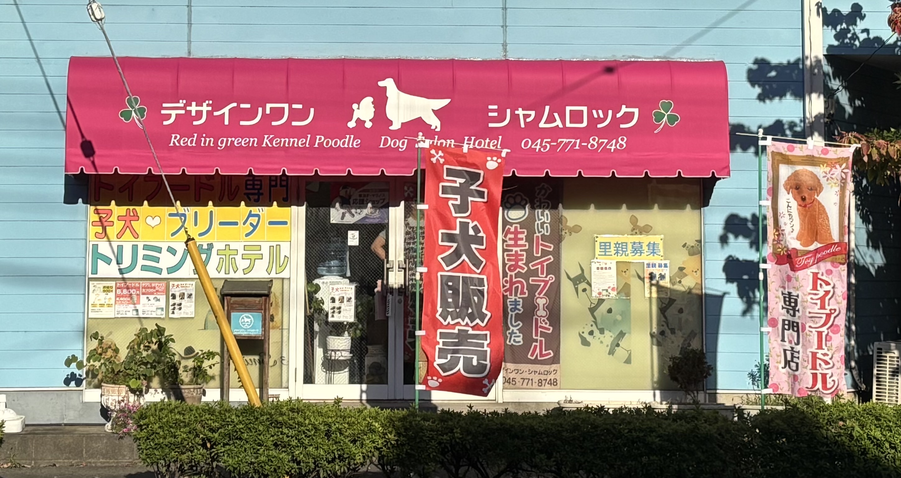 デザインワン・シャムロック のサムネイル