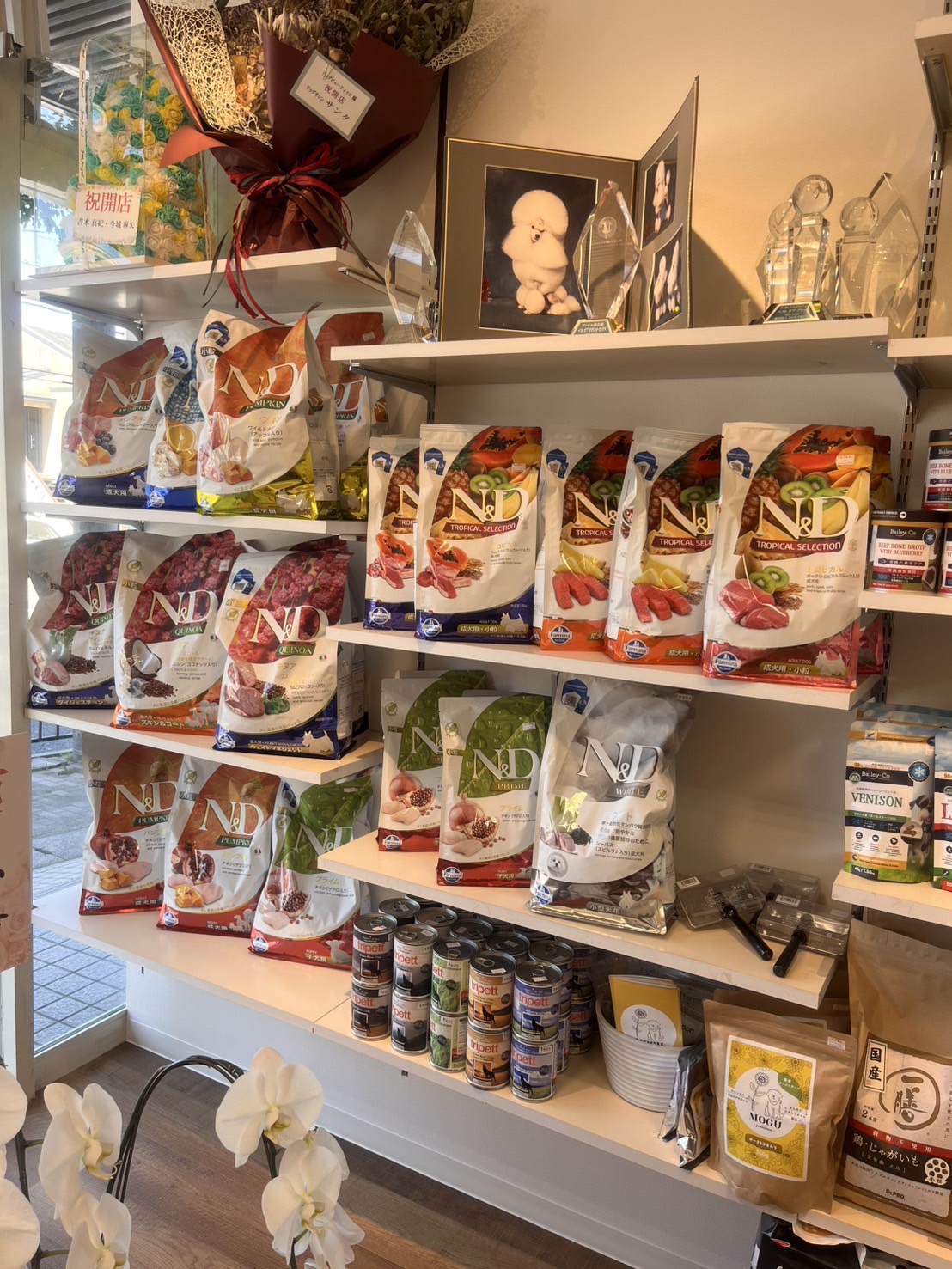 DOGBEAUTY HIRO　山科店 3