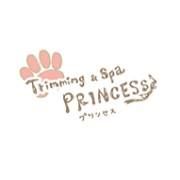 千葉県市川市のトリミングサロン TRIMMING&SPA SALON PRINCESSのサムネイル1枚目