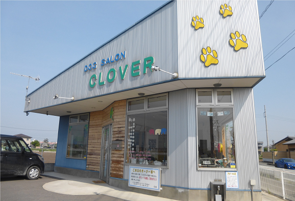埼玉県上里町のトリミングサロン DOG SALON CLOVER（クローバー）の1枚目