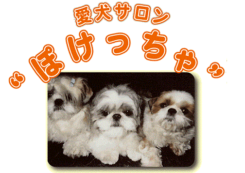 茨城県日立市のトリミングサロン 愛犬サロン“ぽけっちゃ のサムネイル2枚目