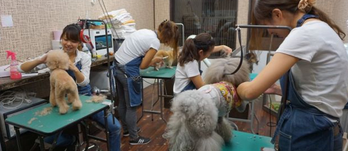 犬濯屋 川村 5