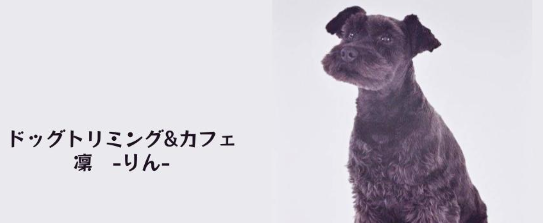 トリミング&カフェ 凜 のサムネイル