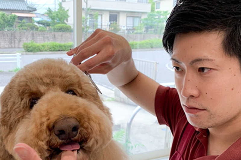 Dogサロン ZiZai 高蔵寺店 1
