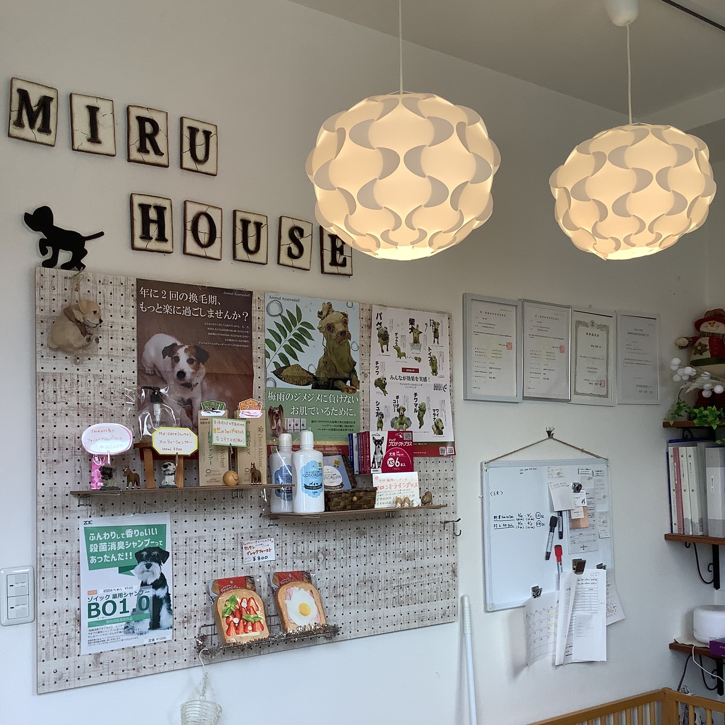群馬県高崎市のトリミングサロン MIRU HOUSE(ミルハウス)の3枚目