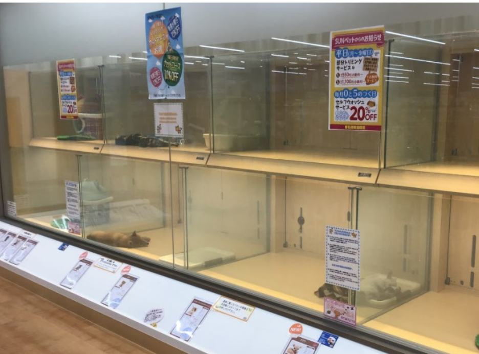 サンペット釜石港町店 1
