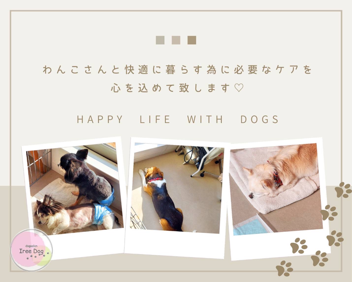 福島県いわき市のトリミングサロン dog salon Iree Dog(アイリードッグ)のサムネイル2枚目
