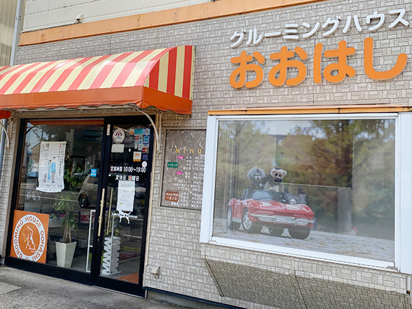 新潟県新潟市東区のトリミングサロン グルーミングハウスおおはしのサムネイル1枚目