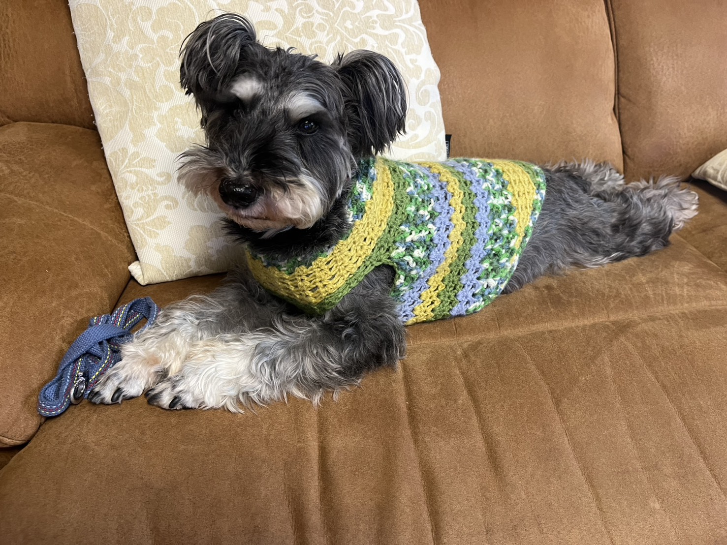 ドッグサロン　キララ 2