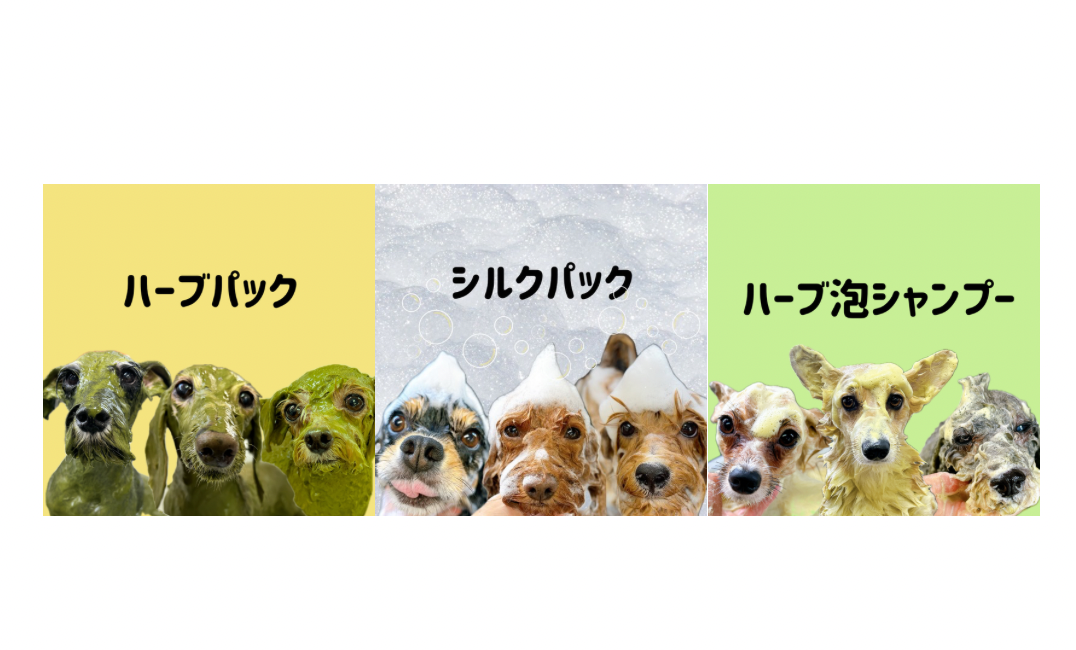 ペットサロンDream 3