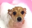 ゆいまぁる 3