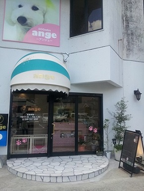 鹿児島県鹿児島市のトリミングサロン DOG salon angeの1枚目