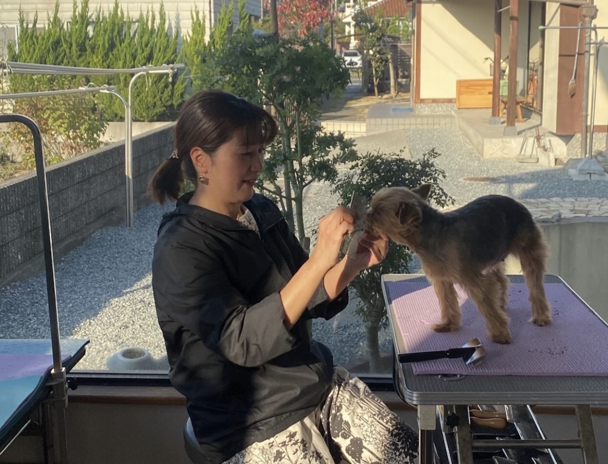 ペットグルーミングショップ トムボーイ 2