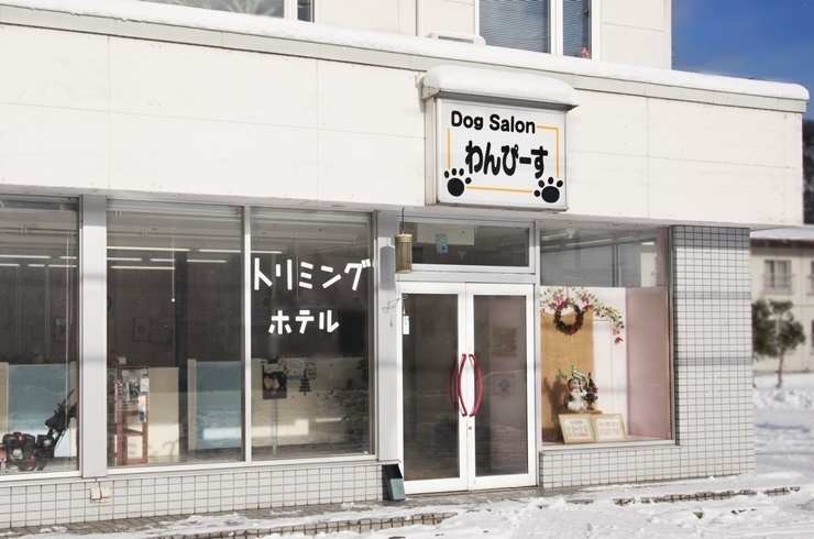 ＤｏｇＳａｌｏｎわんぴーす 1
