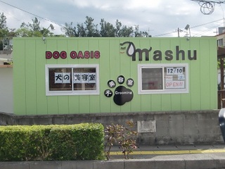 沖縄県沖縄市のトリミングサロン Dog Oasis Mashuの1枚目