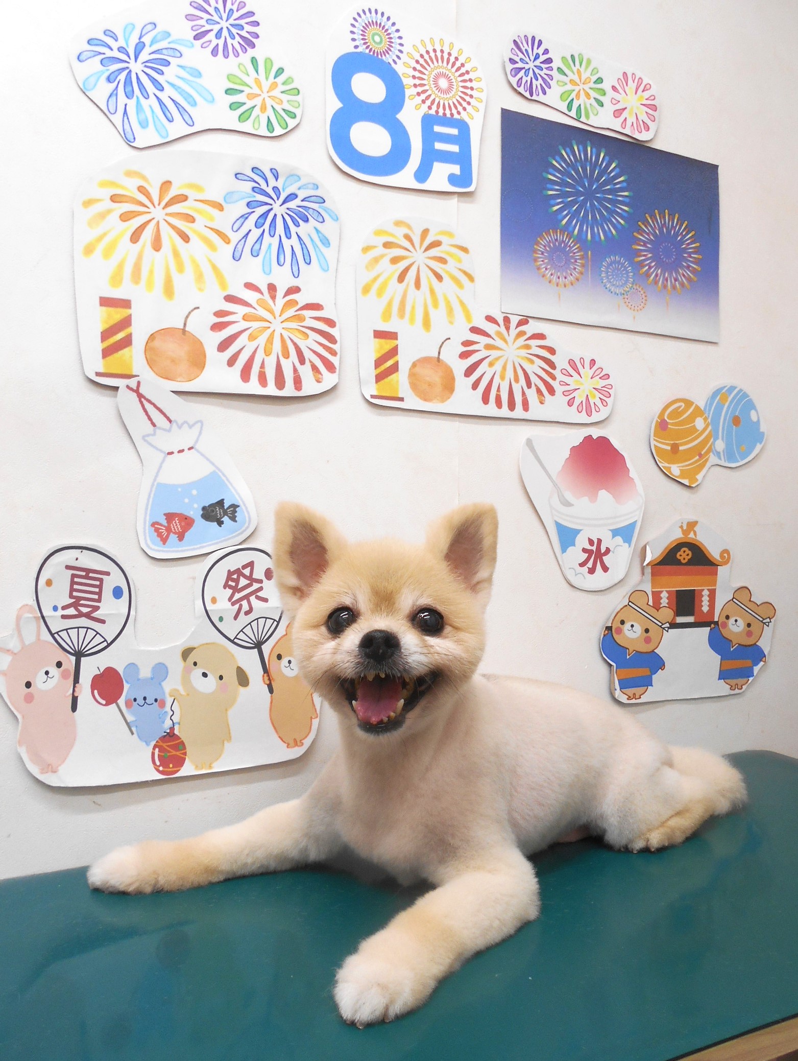 ミックス犬(その他)のトリミングカット シュシュどうぶつ病院の1枚目