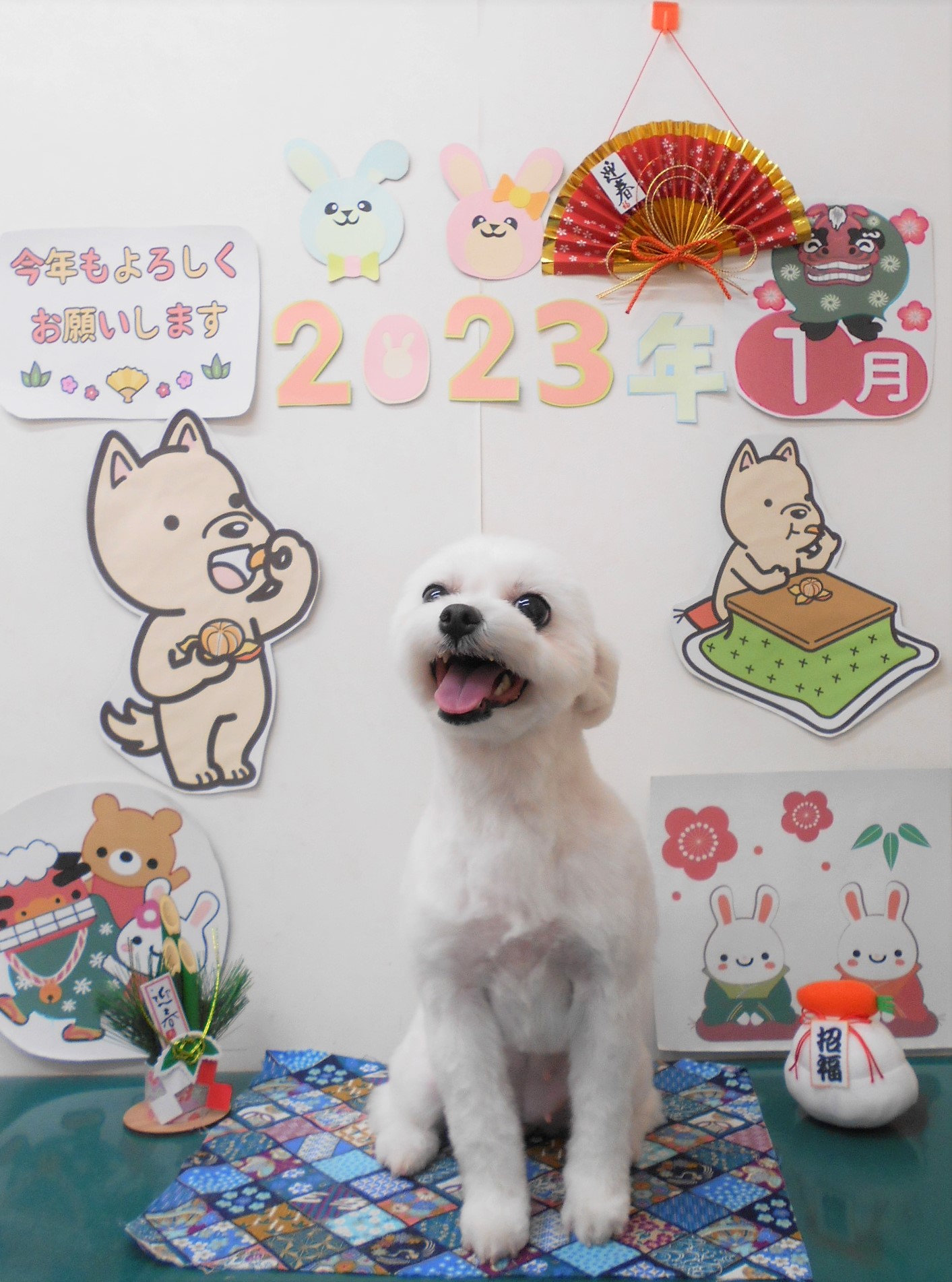 ミックス犬(その他)のトリミングカット シュシュどうぶつ病院の1枚目