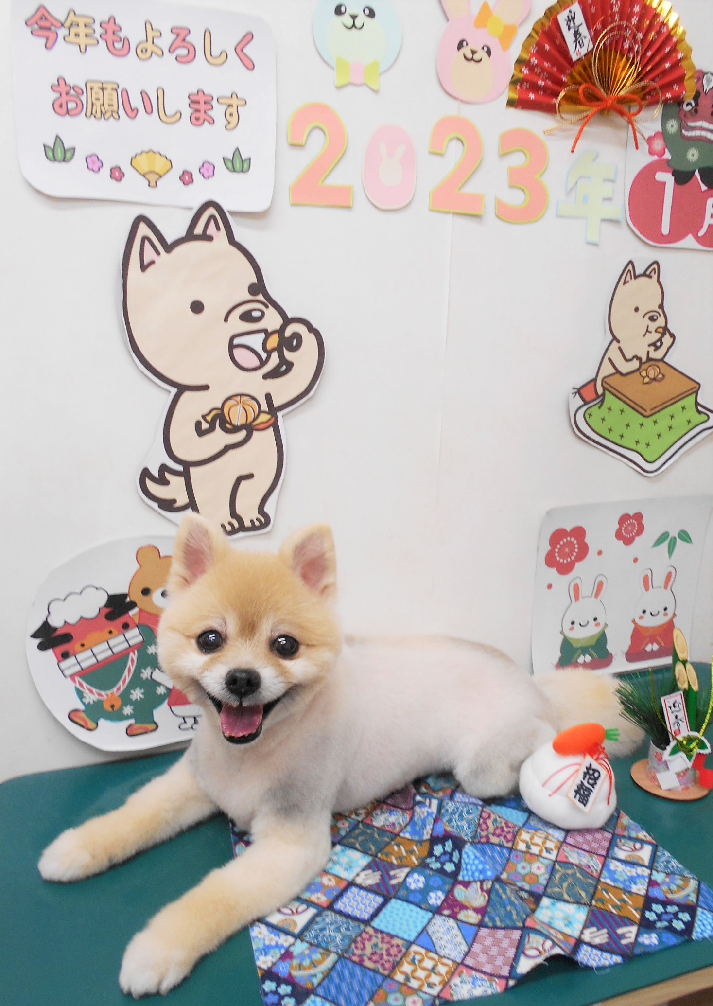 ミックス犬(その他)のトリミングカット シュシュどうぶつ病院の1枚目