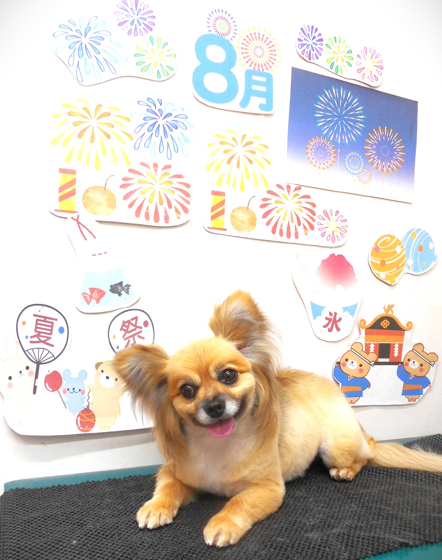 ミックス犬(その他)のトリミングカット シュシュどうぶつ病院の1枚目