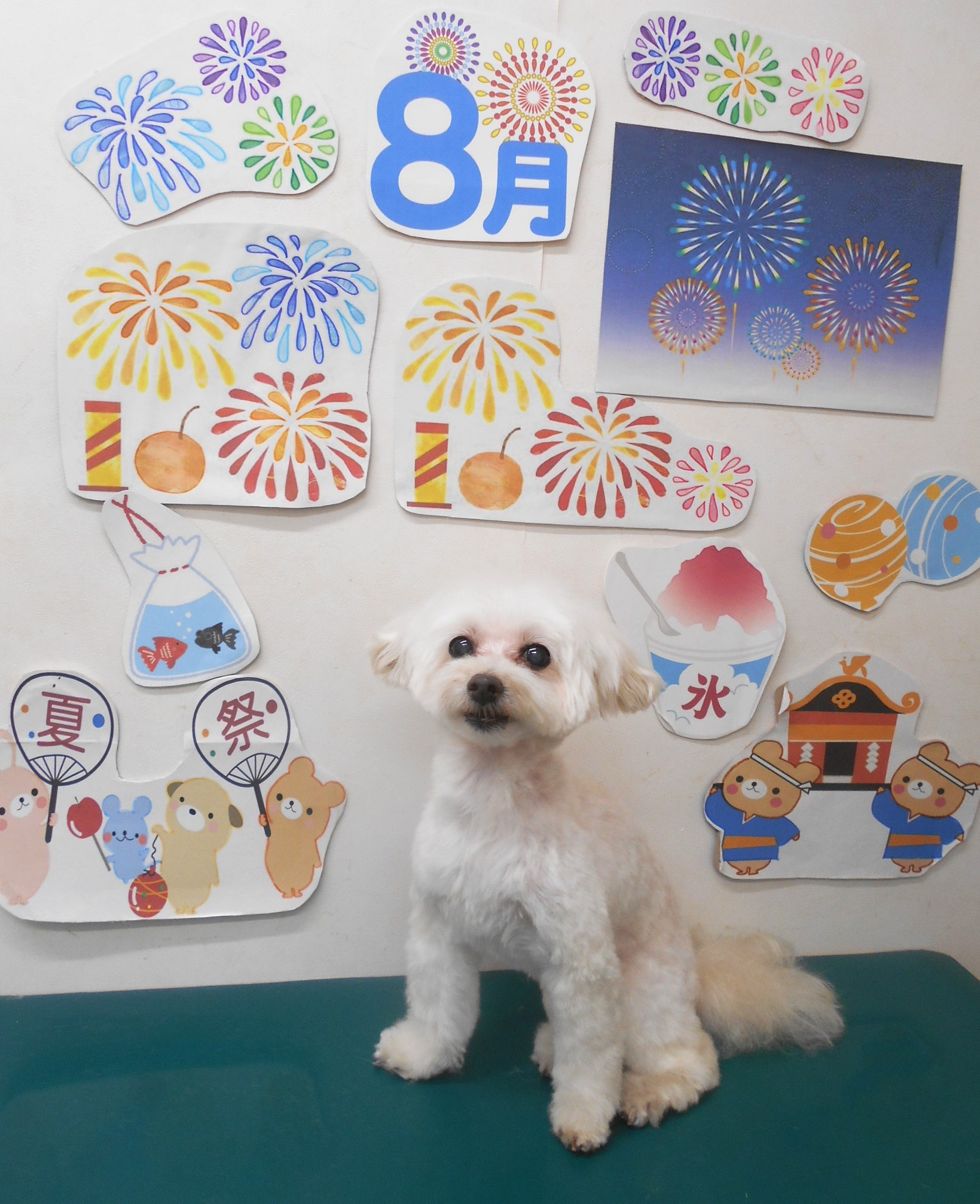 ミックス犬(その他)のトリミングカット シュシュどうぶつ病院の1枚目