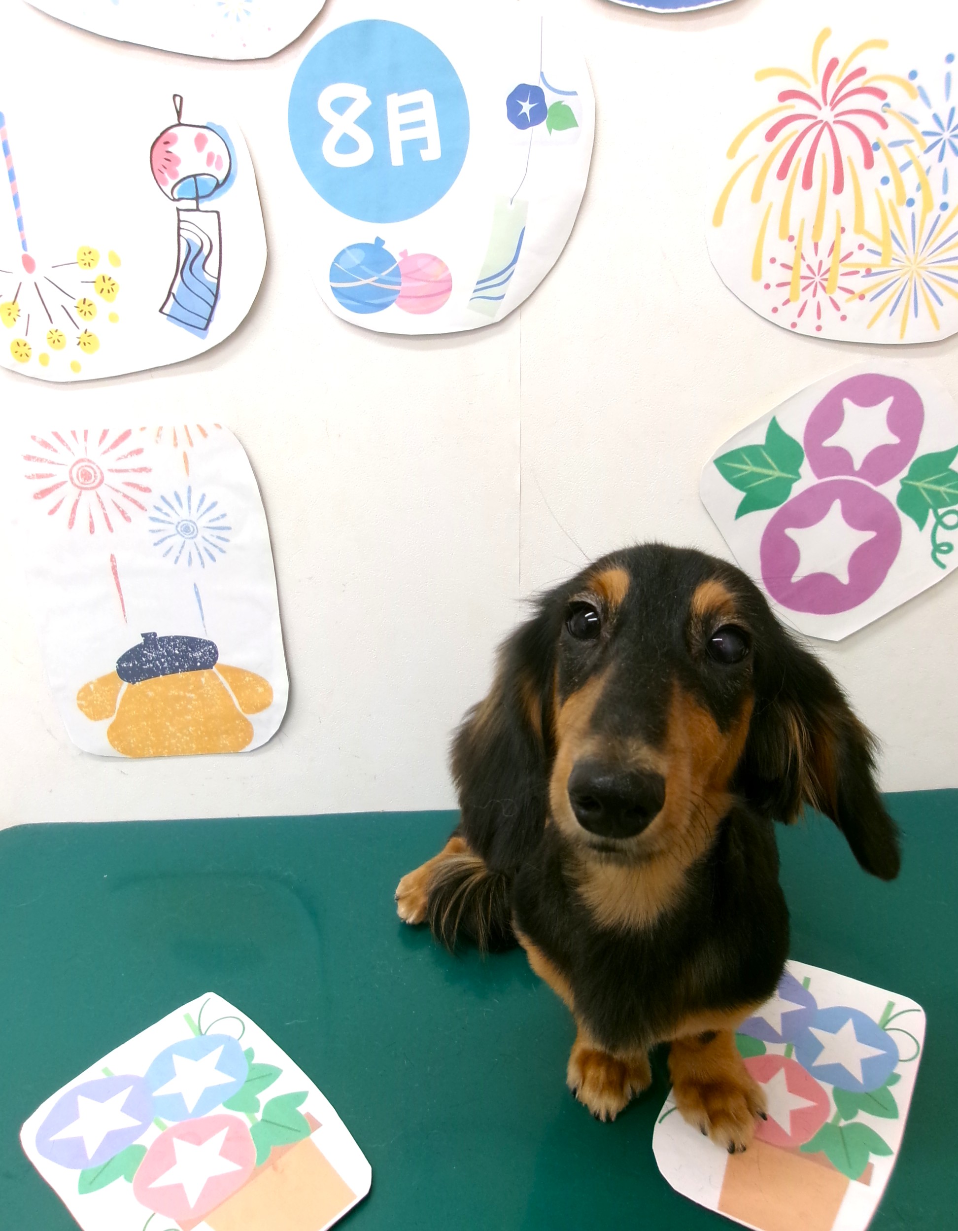 トリミングサロン シュシュどうぶつ病院のトリミングカット-10321の1枚目
