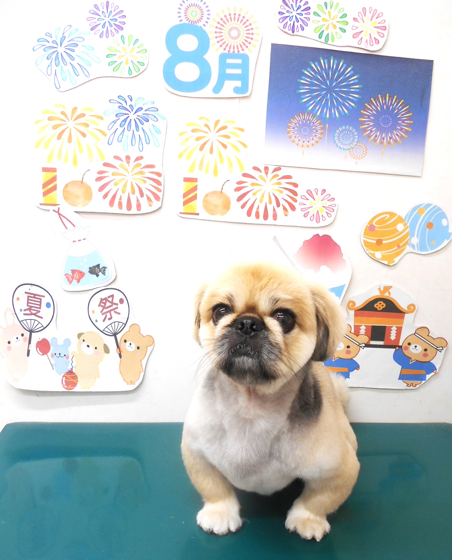 ミックス犬(その他)のトリミングカット シュシュどうぶつ病院の1枚目