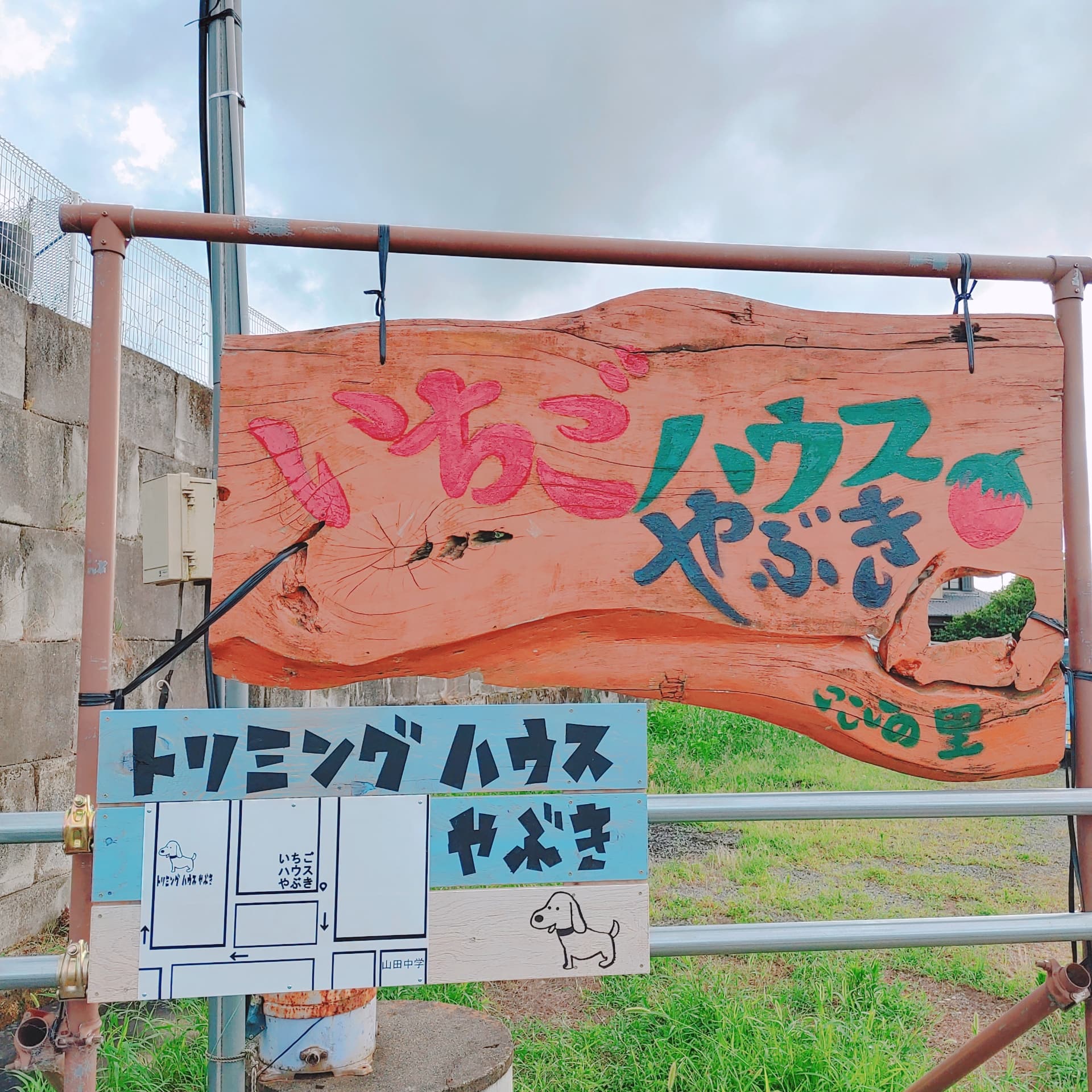 香川県高松市のトリミングサロン トリミング　ハウス　やぶきのサムネイル2枚目