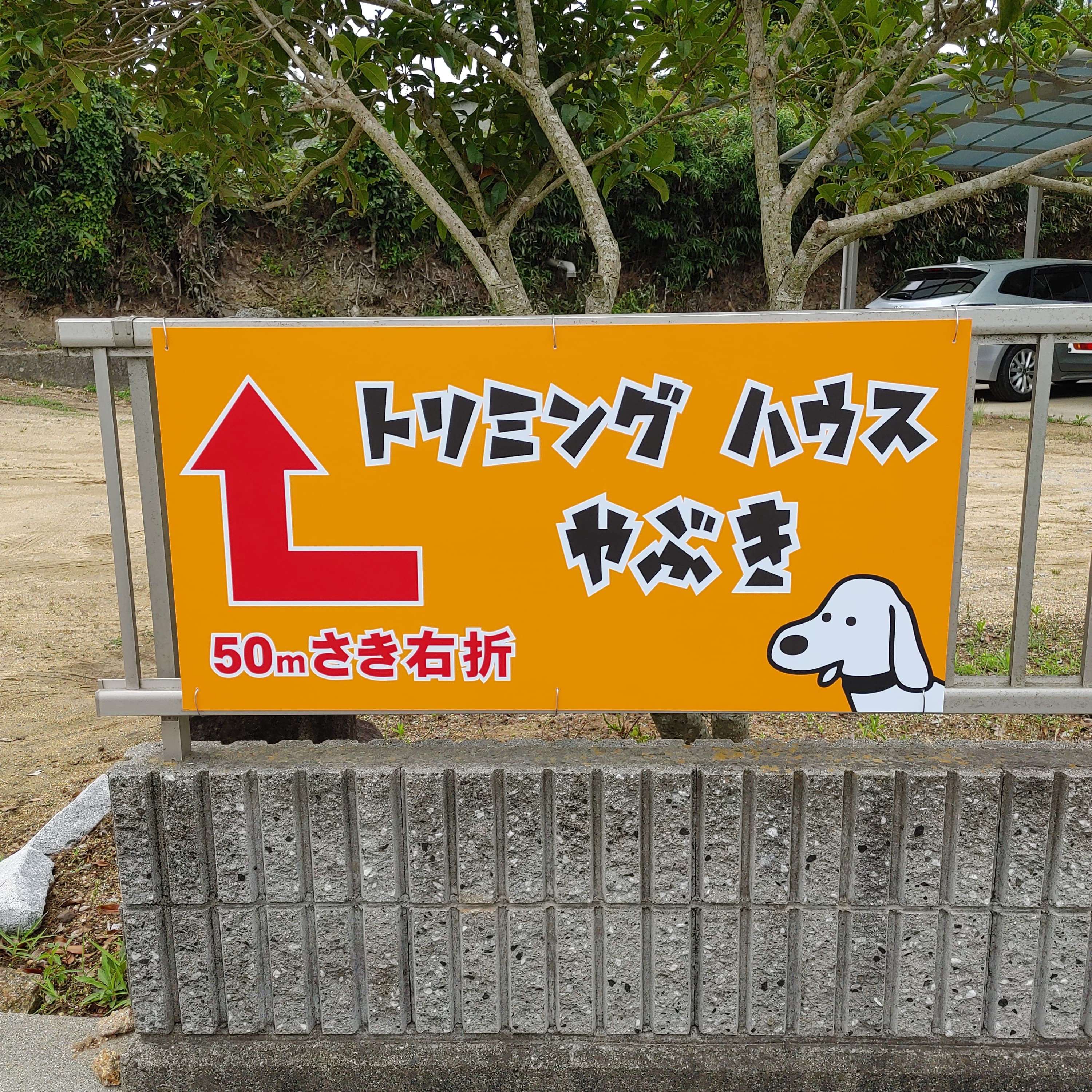 香川県高松市のトリミングサロン トリミング　ハウス　やぶきのサムネイル1枚目