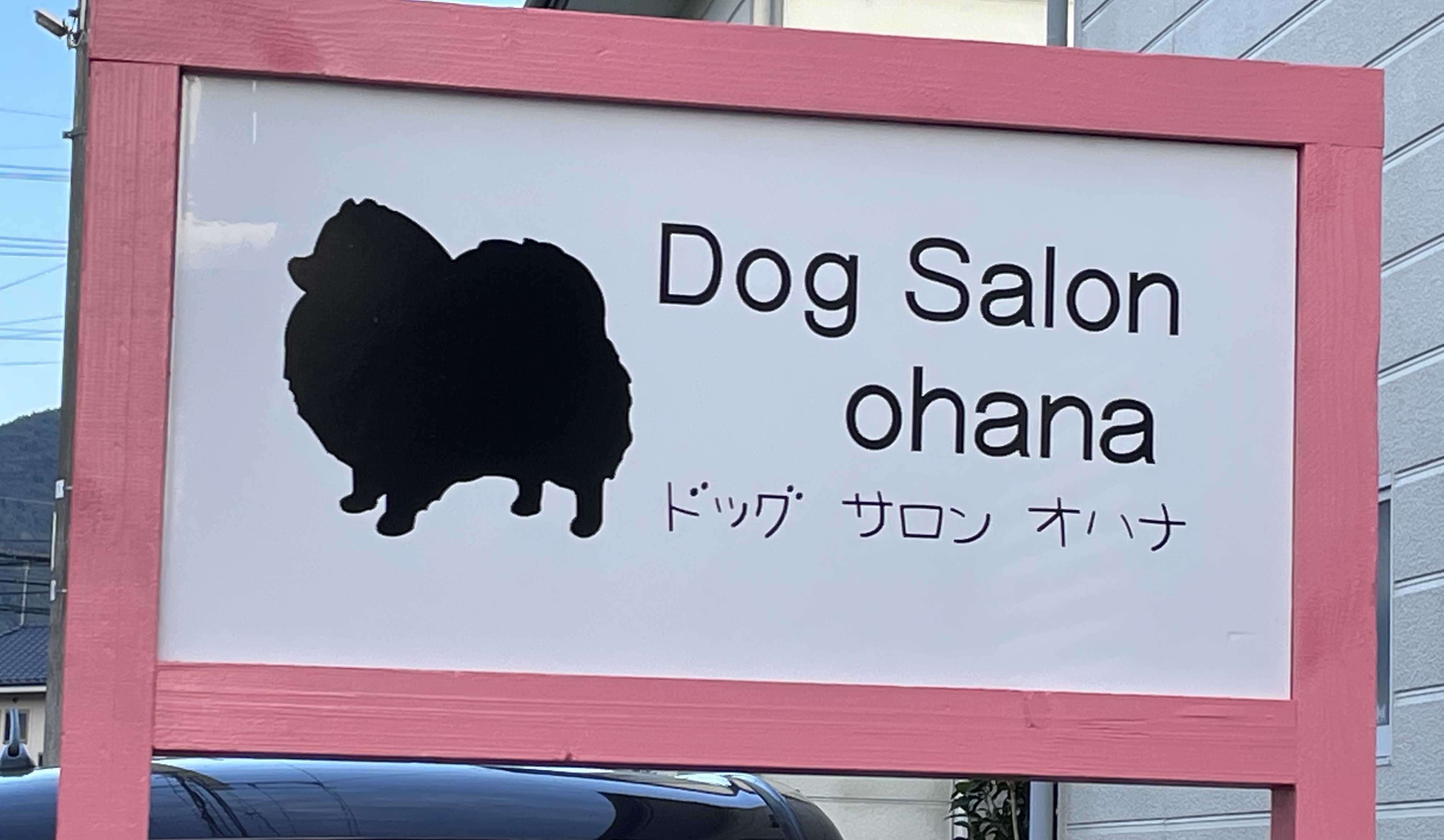 長野県千曲市のトリミングサロン Dog Salon ohanaの1枚目
