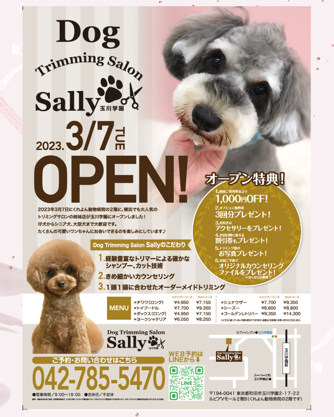 東京都町田市のトリミングサロン Dog Trimming Salon Sally玉川学園店の1枚目