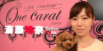 トリミングサロン One Carat JAPANのトリマー 斎藤玲奈