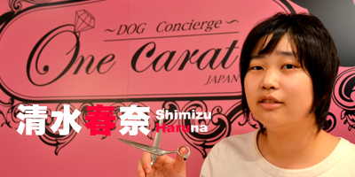 トリミングサロン One Carat JAPANのトリマー 清水春奈