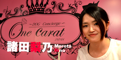 トリミングサロン One Carat JAPANのトリマー 諸田梨乃