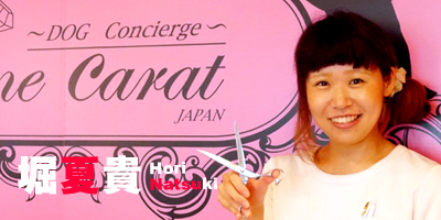 トリミングサロン One Carat JAPANのトリマー 堀夏貴