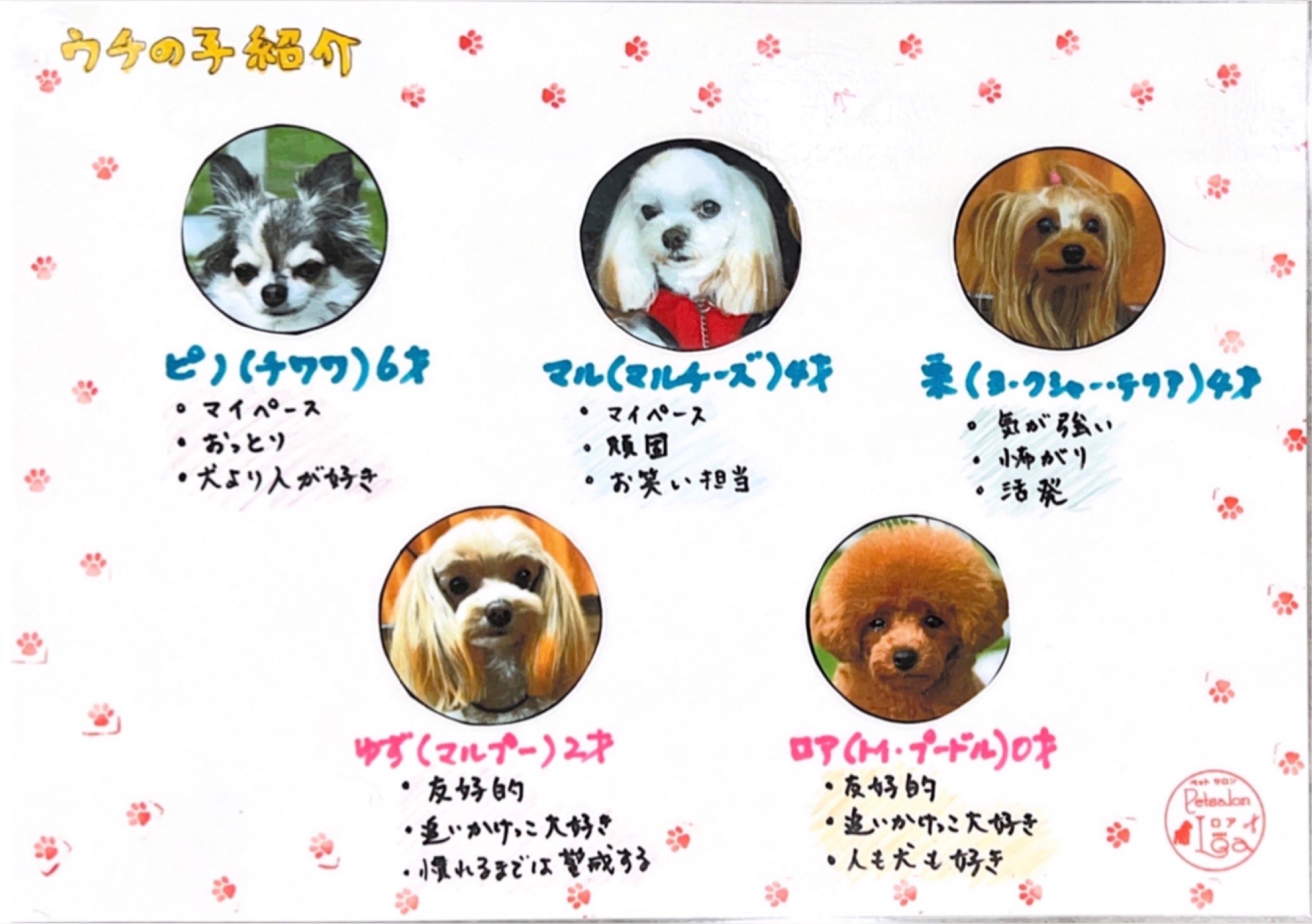 兵庫県姫路市のトリミングサロン Petsalon Loaの5枚目